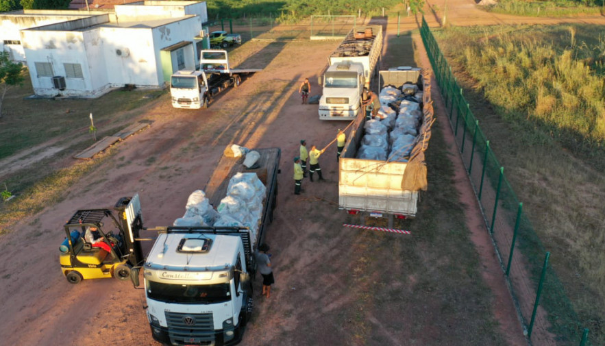 Materiais fósseis são repatriados ao Tocantins