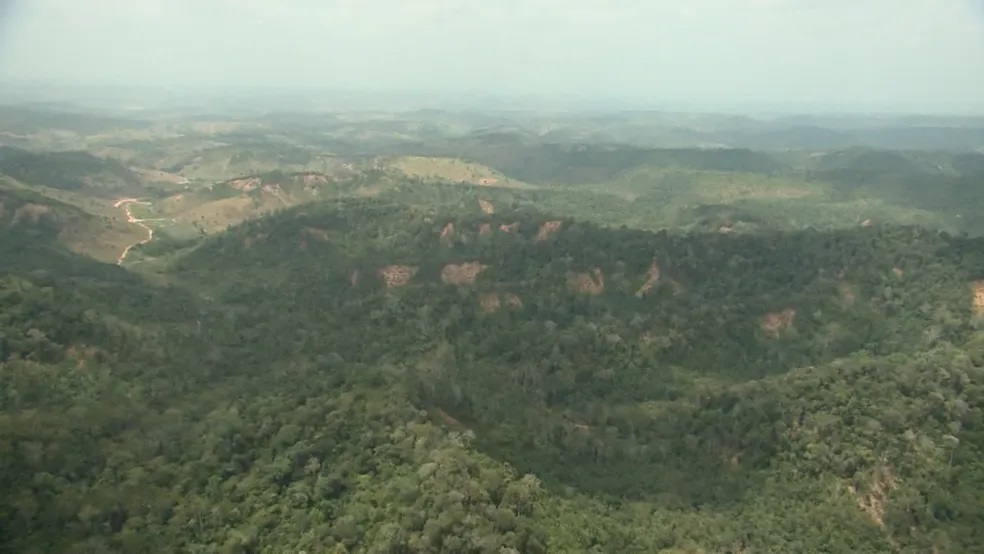 PF e Ibama identificam fazendas que funcionavam irregularmente dentro de Terra Indígena no MA