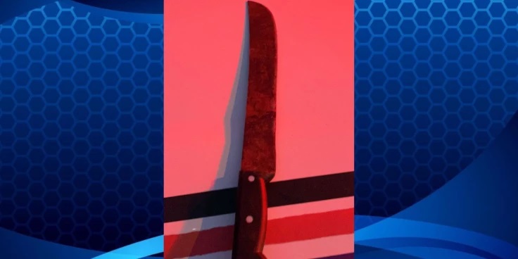 Mulher é brutalmente agredida a golpes de facão em Imperatriz