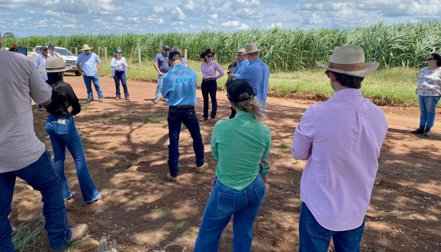Secretaria da Agricultura realiza 2ª edição do Café no Campo