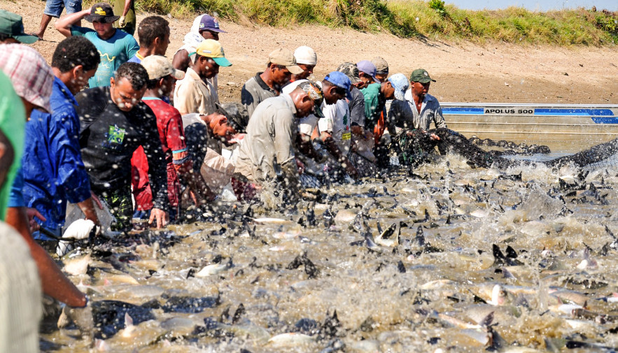 Governo do Tocantins avança no fortalecimento da pesca e aquicultura no Estado