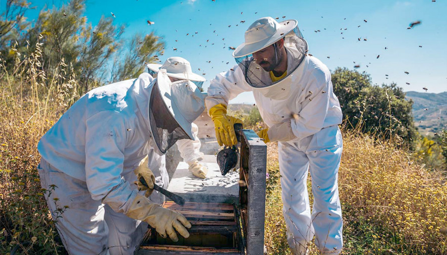 Parque Estadual do Cantão promove capacitação em apicultura e meliponicultura