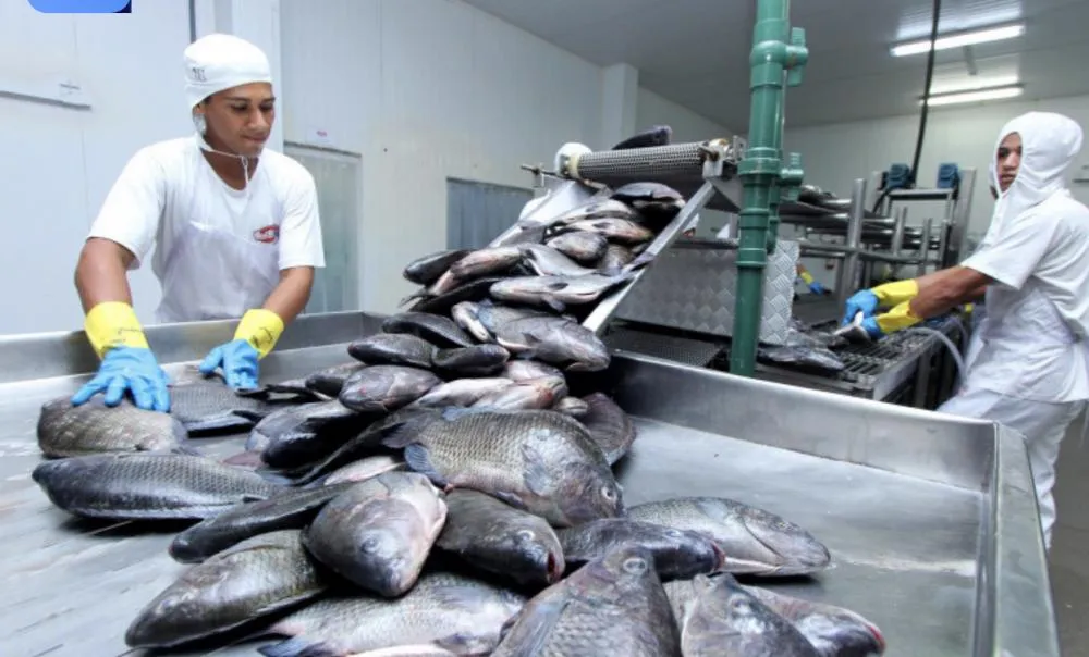 Tocantins registra a segunda menor taxa de desemprego da Região Norte