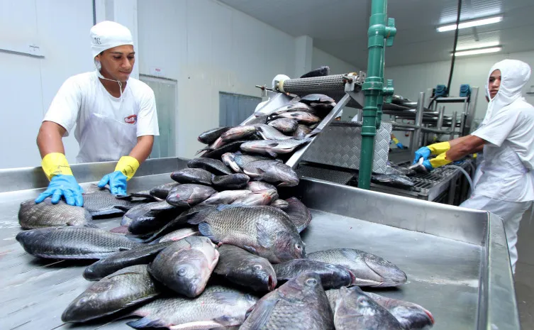 Tocantins registra a segunda menor taxa de desemprego da Região Norte