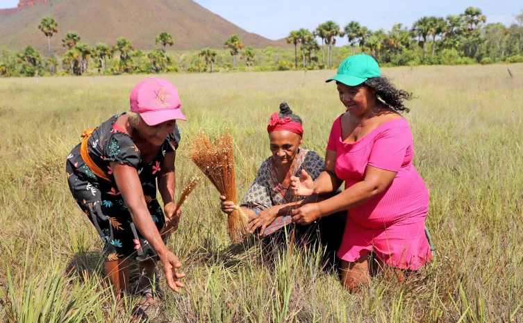 Governo do Tocantins reforça compromisso com a igualdade racial e celebra memória de resistência negra